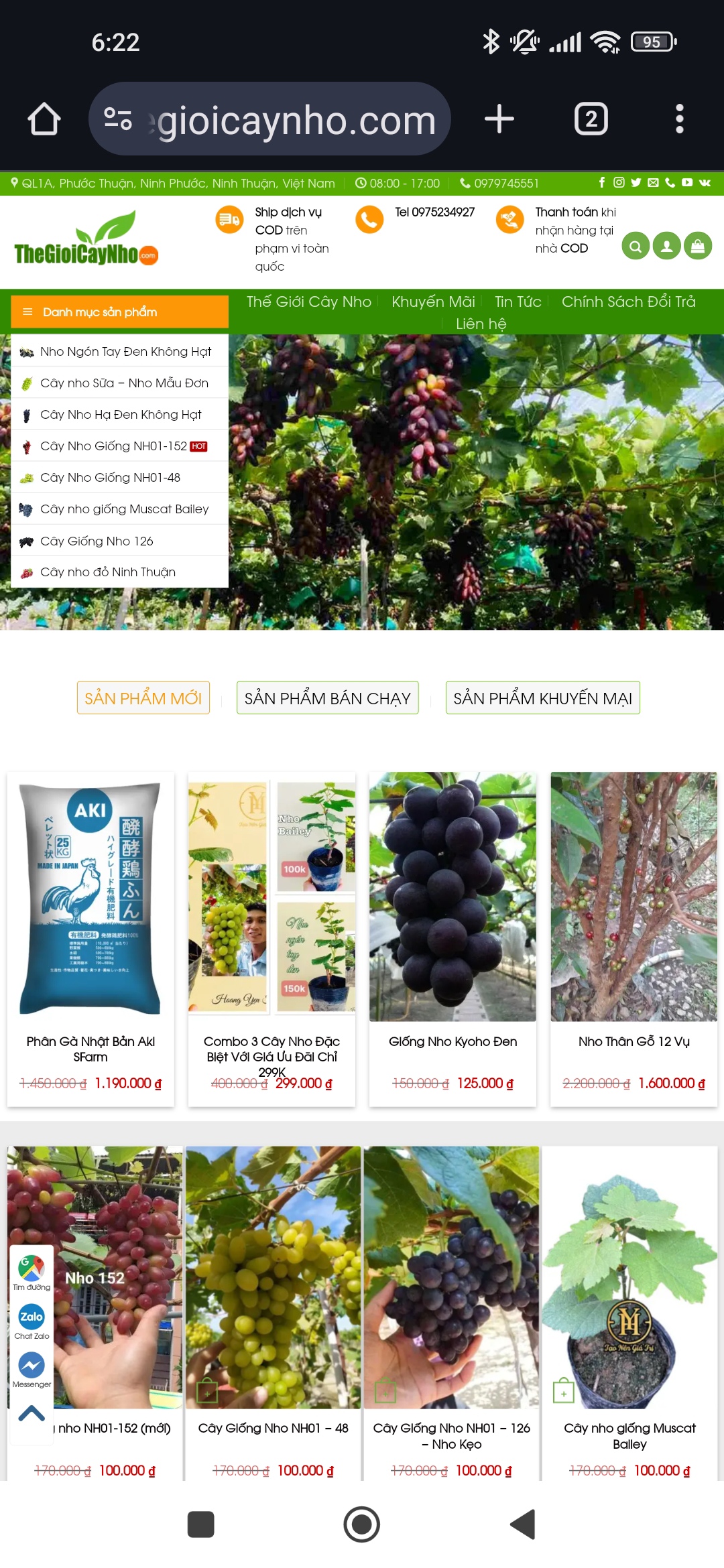 ABC VIP - Đơn Vị Thiết Kế Website Cây Nho Giống